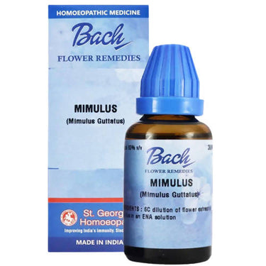 https://cdn.shopify.com/s/files/1/1857/6931/products/30QM2dcxbs.jpg?v=1644821821